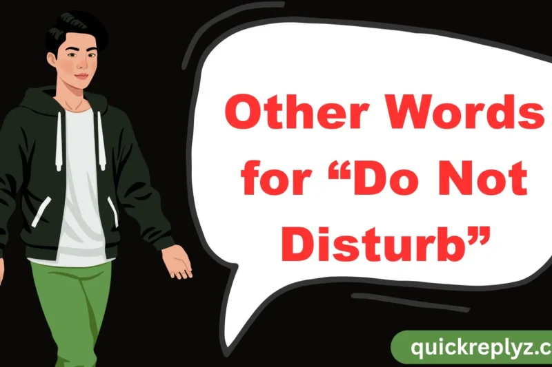 30 Other Words for “Do Not Disturb”
