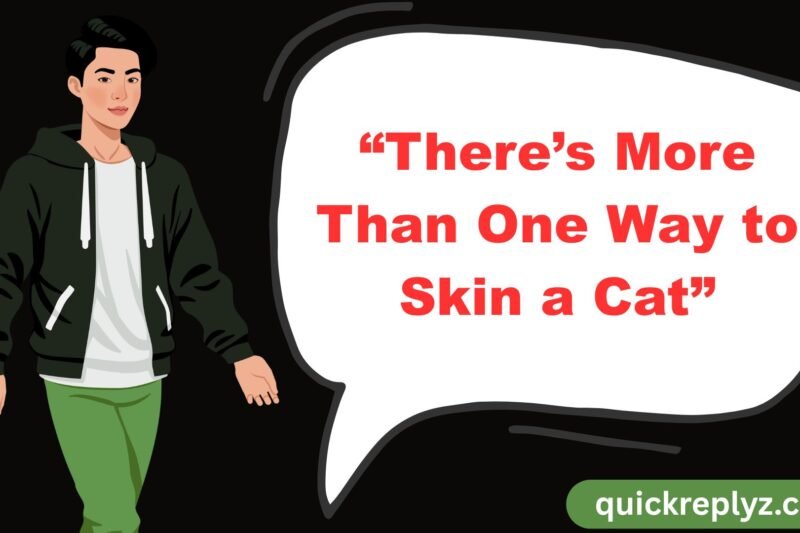 30 “There’s More Than One Way to Skin a Cat”