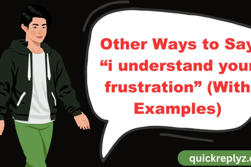30 Other Ways to Say “I Understand Your Frustration” (With Examples)