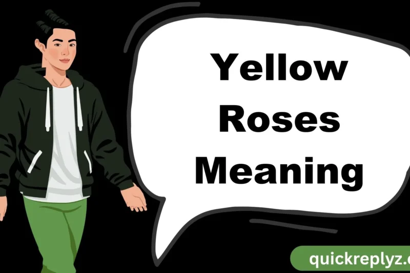 Yellow Roses Meaning: The Complete Guide to Symbolism, History, and Gifting