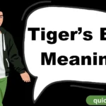 Tiger’s Eye Meaning The Ultimate Guide to Its Power and Uses