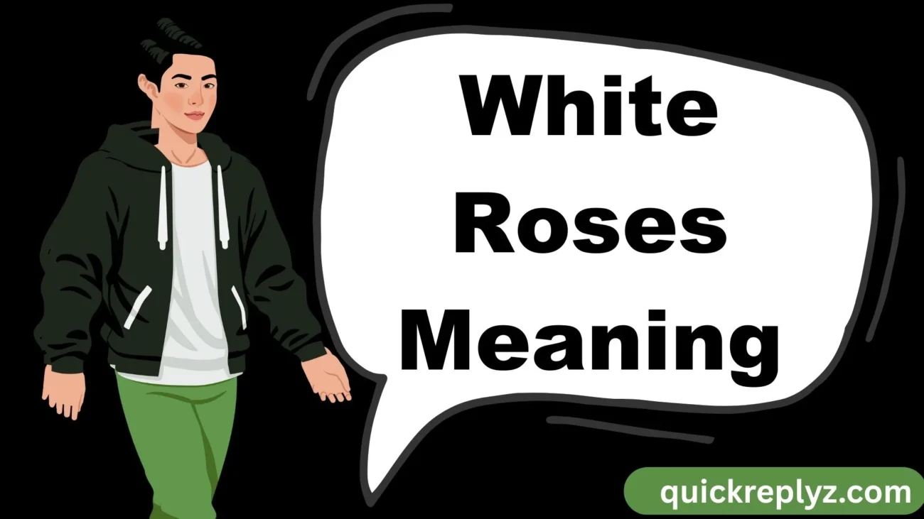 White Roses Meaning and Symbolism Explained: A Complete Guide