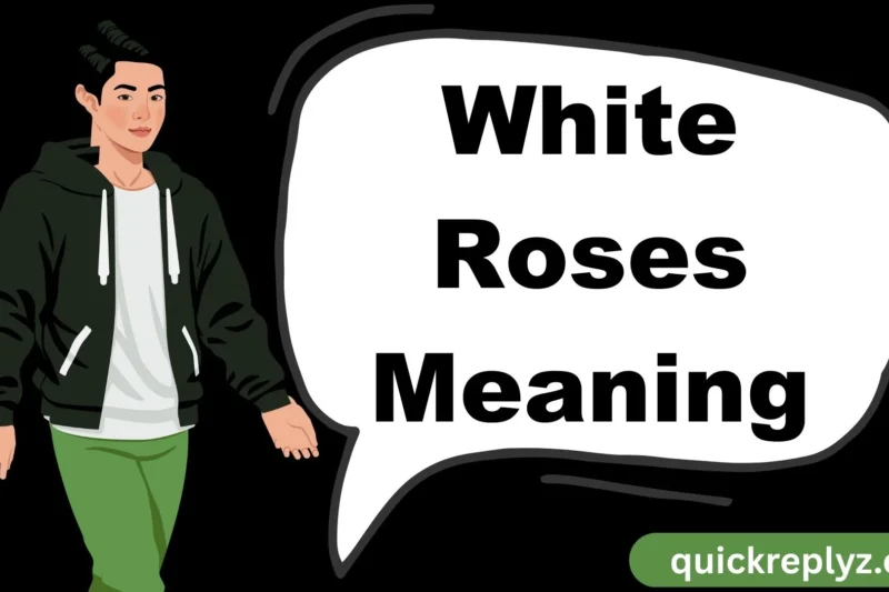 White Roses Meaning and Symbolism Explained: A Complete Guide
